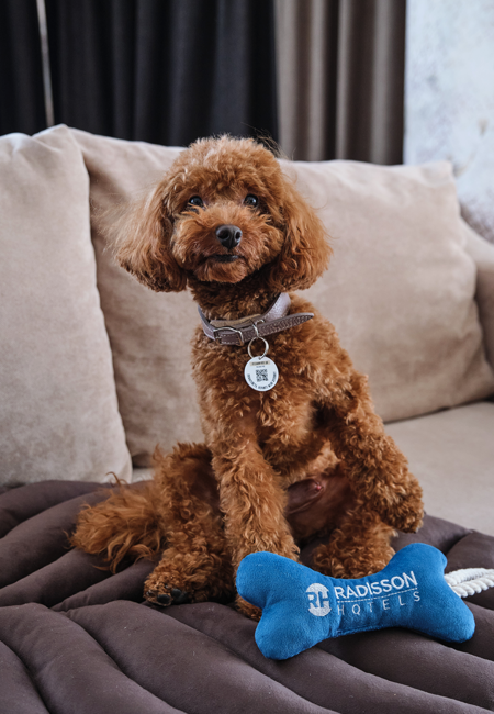ValtaPetProducts_f9_R_3_2025.png